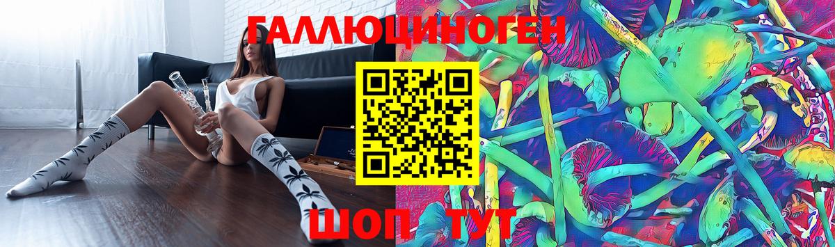 Шатура  Псилоцибиновые грибы мухоморы  Вход с VPN 